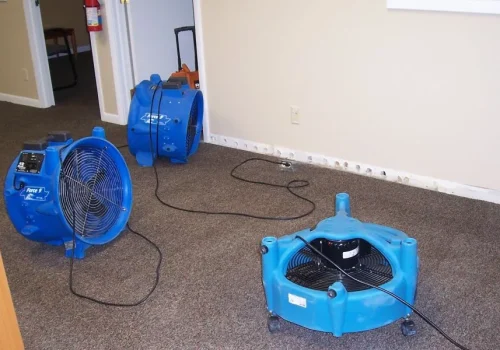Mold Remediation1