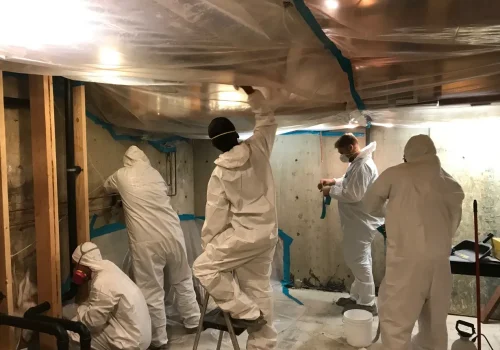 Mold Remediation12