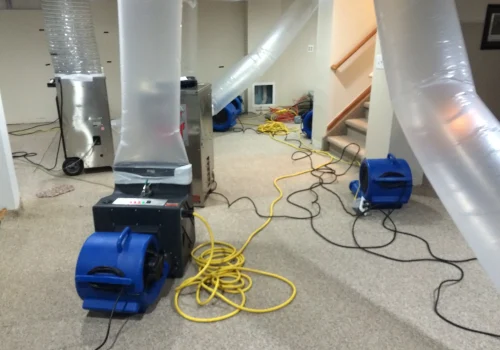 Mold Remediation2