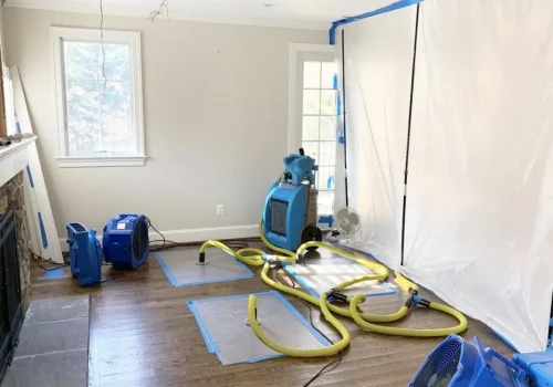Mold Remediation3